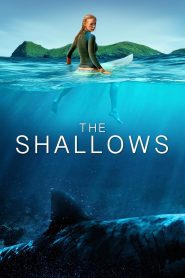 The Shallows