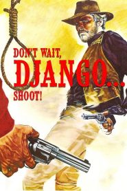 Don’t Wait, Djangoâ€¦ Shoot!