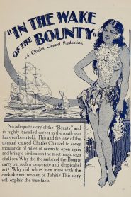 In the Wake of the Bounty